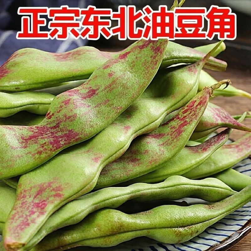 【精选发货】正宗一点红九月青新鲜蔬菜现摘面豆角开锅烂产地直发