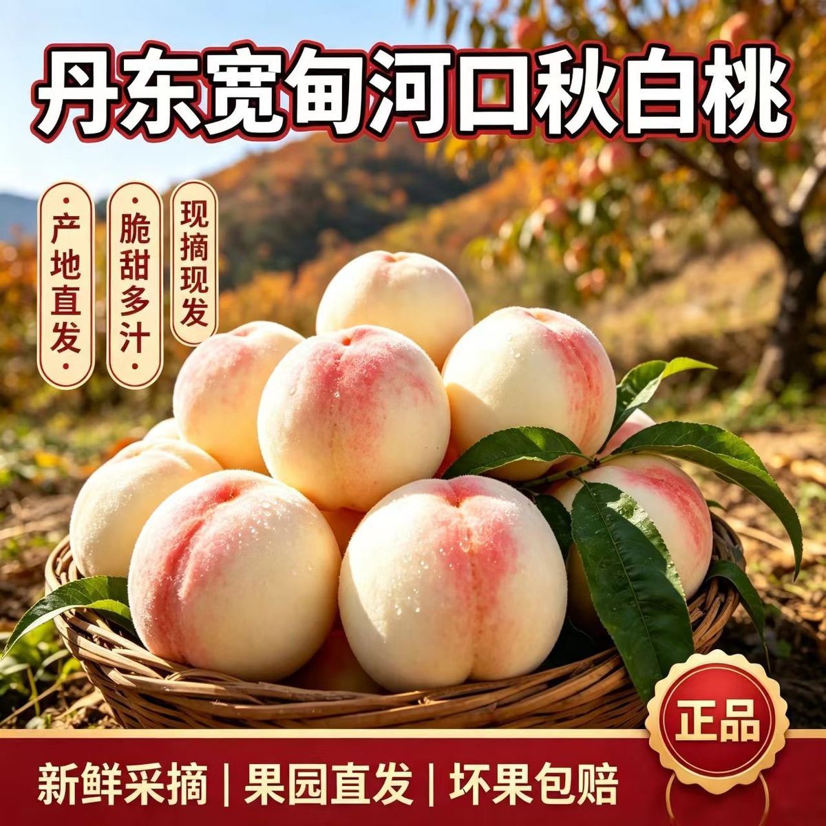 2026当季新鲜丹东河口鸭绿江秋白桃子银毛桃自家果园彩箱红心酸甜