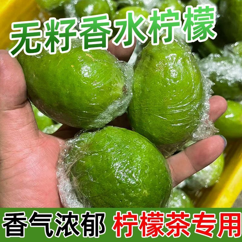 小青果广东香水柠檬爆香新鲜优选果柠檬茶奶茶店商用无籽正宗香
