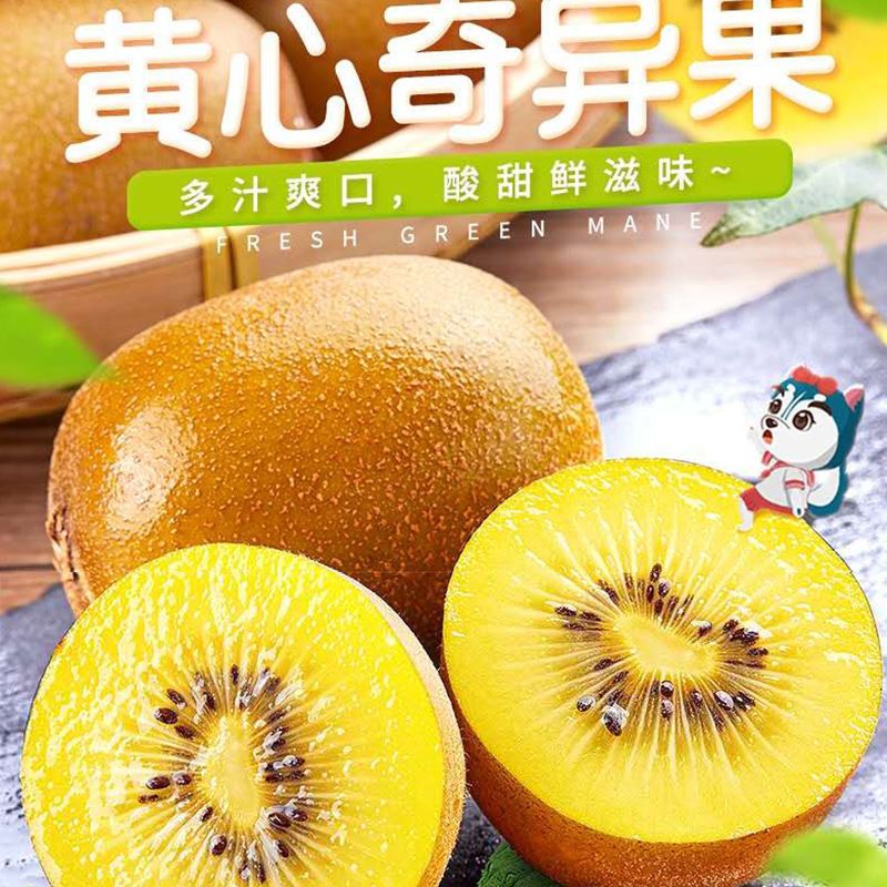 当季新鲜四川黄心猕猴桃黄色黄金水果奇异果50-180g多规格弥核桃