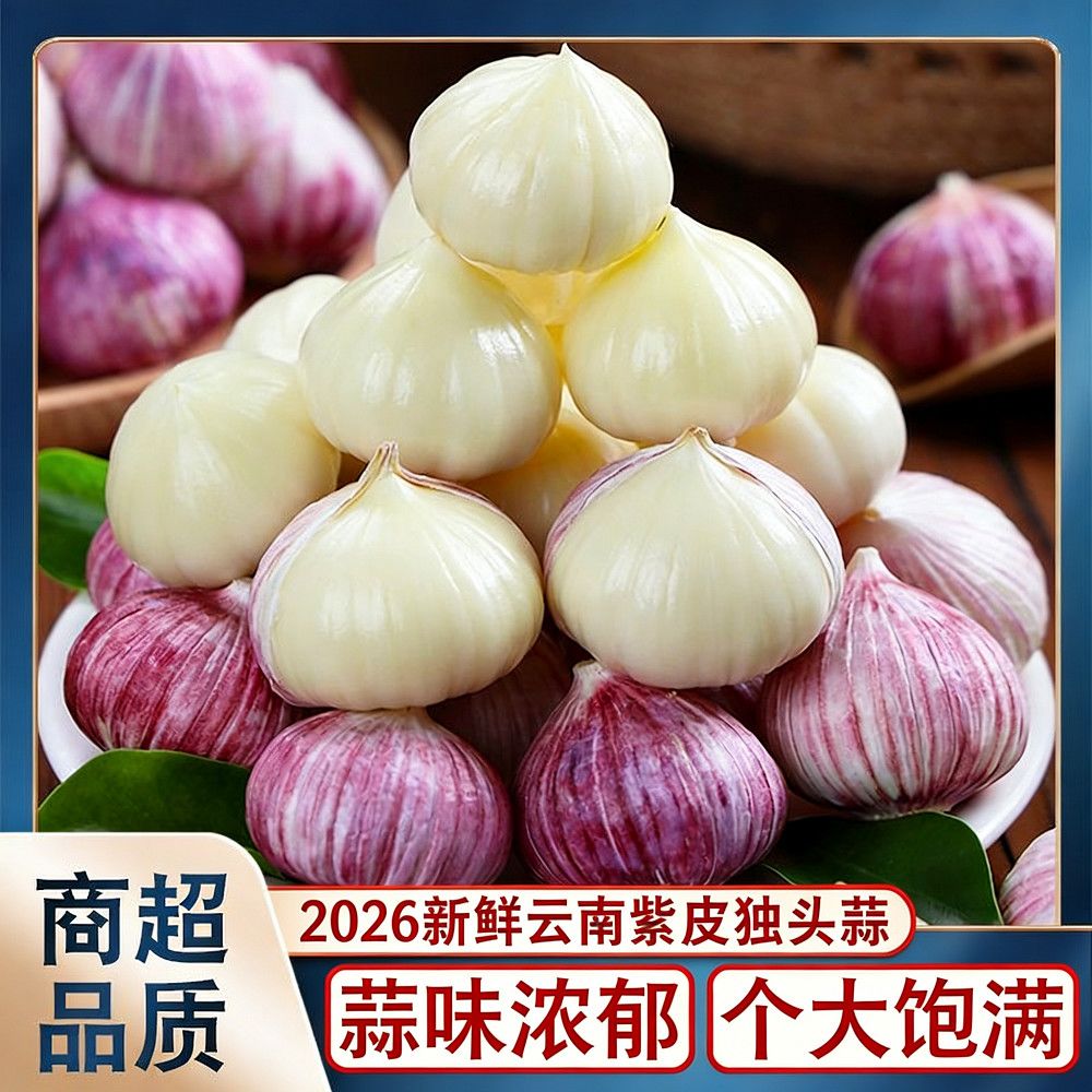 【正宗独头蒜】2026年紫皮独头蒜新鲜大蒜批发价清仓红皮新鲜干蒜