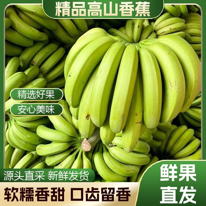 批发青皮正宗广西高山香蕉青皮现摘天然整箱便宜薄皮新鲜青香蕉
