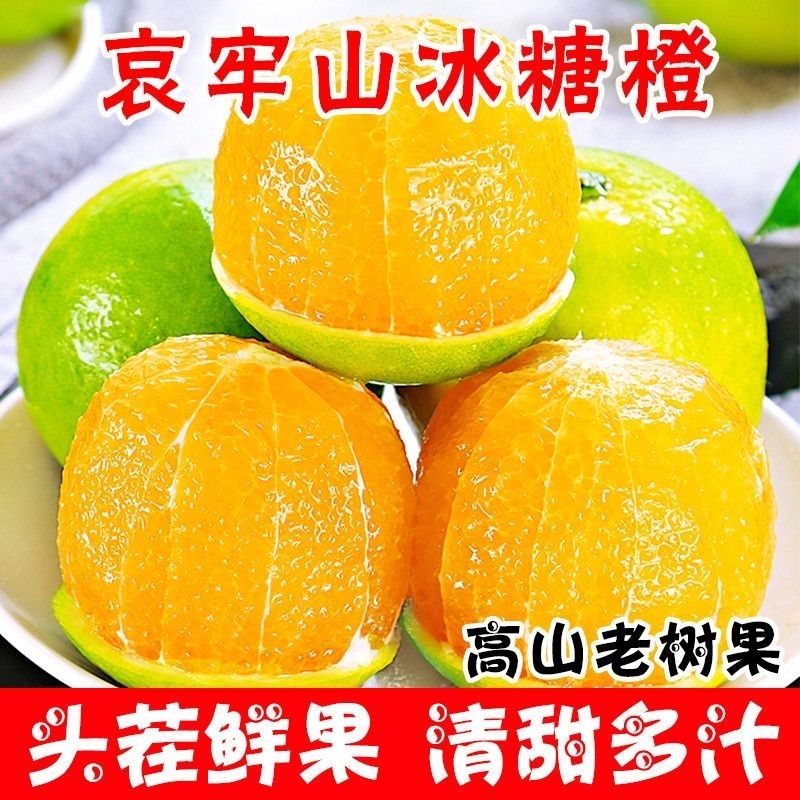 【彩箱5斤大果】正宗哀牢山冰糖橙云南青皮冰糖橙整箱薄皮批发价