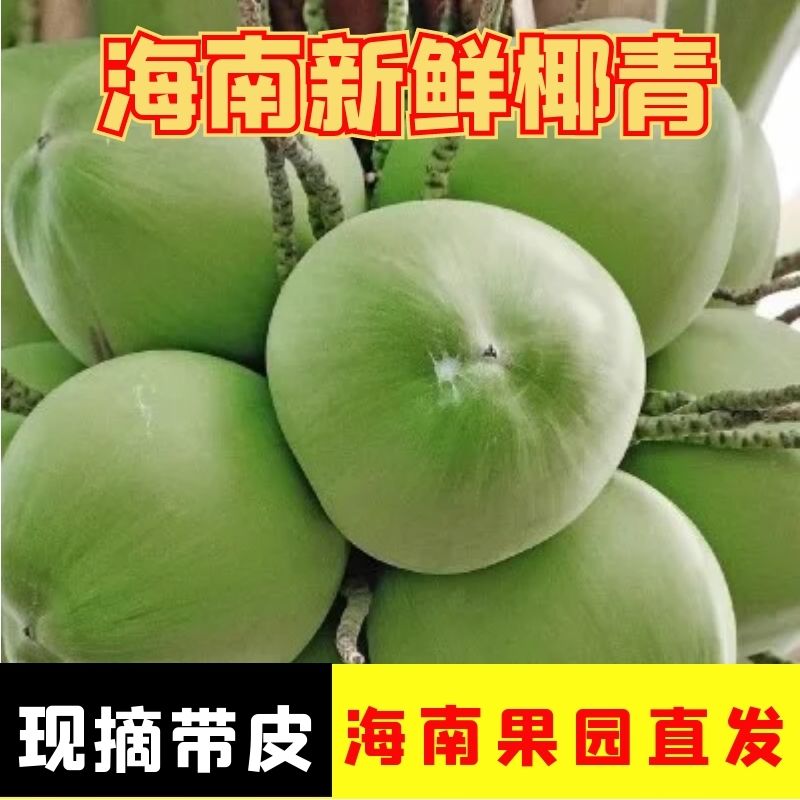 海南正宗带皮椰青新鲜椰子现摘青皮当季水果整箱孕妇文昌特产煲汤