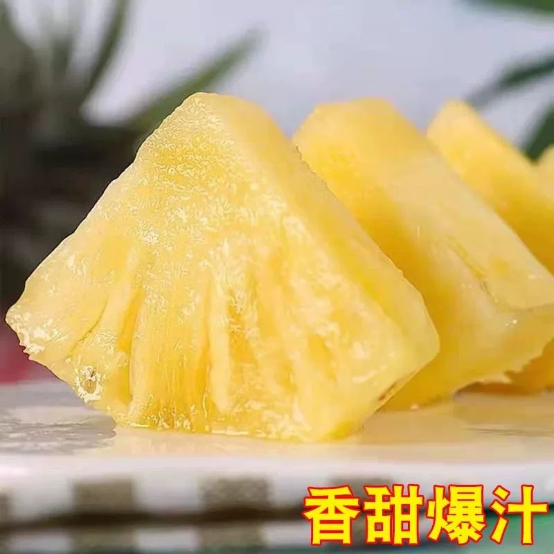 树上熟现摘徐闻香水菠萝新鲜正宗徐闻菠萝带箱直发非海南金钻凤梨