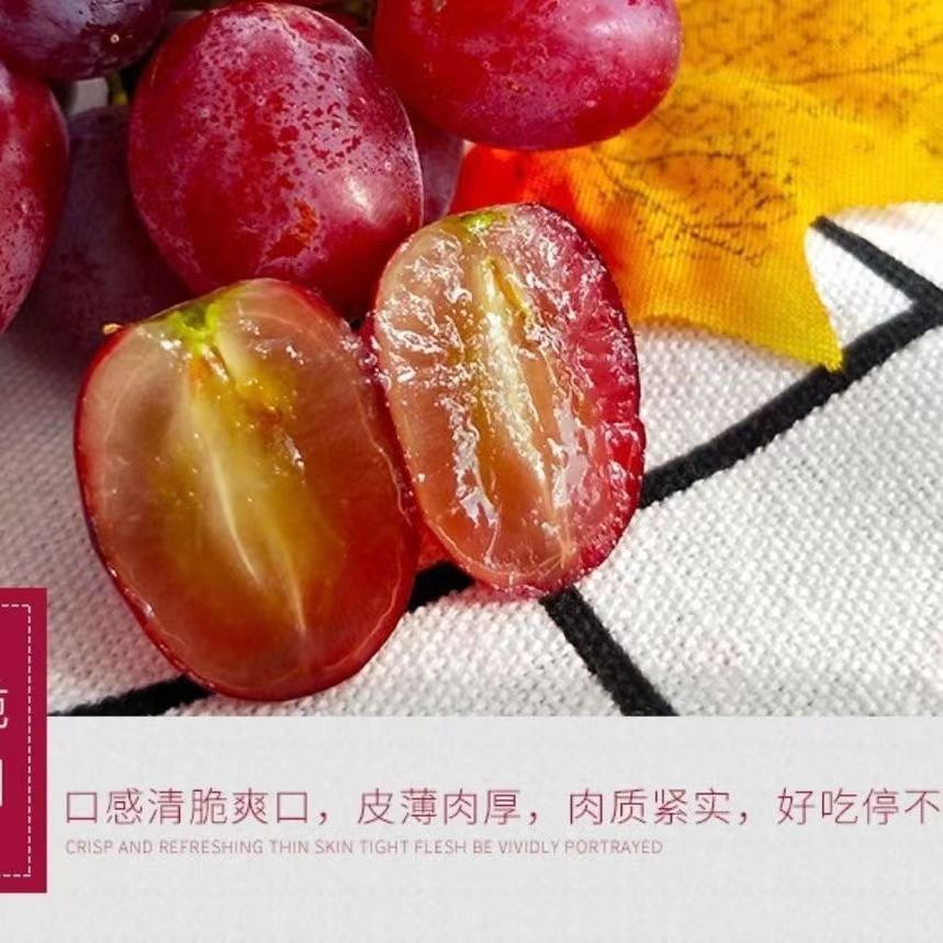 无籽克轮生葡萄无籽孕妇水果包邮批发