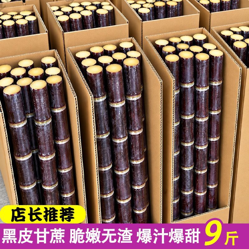 正宗广西黑皮甘蔗新鲜现砍超级甜中段长节薄皮爆甜小甜杆整根批发