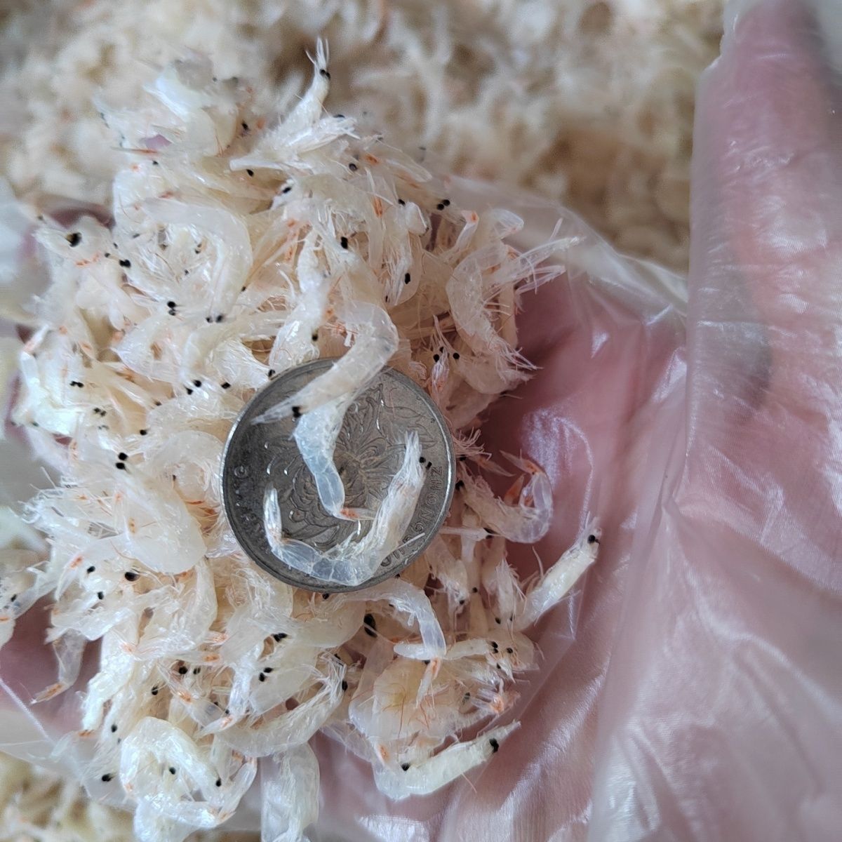 虾皮约500g无干燥剂即食