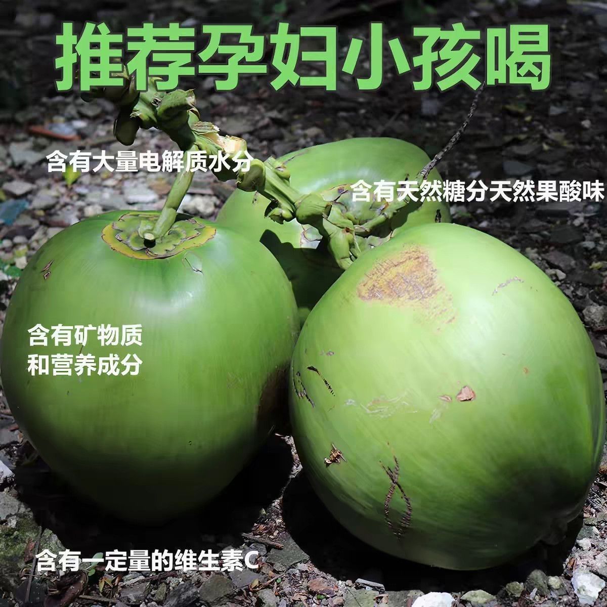 海南文昌现摘新鲜椰青椰子孕妇补水水果青椰新鲜椰子纯天然直发