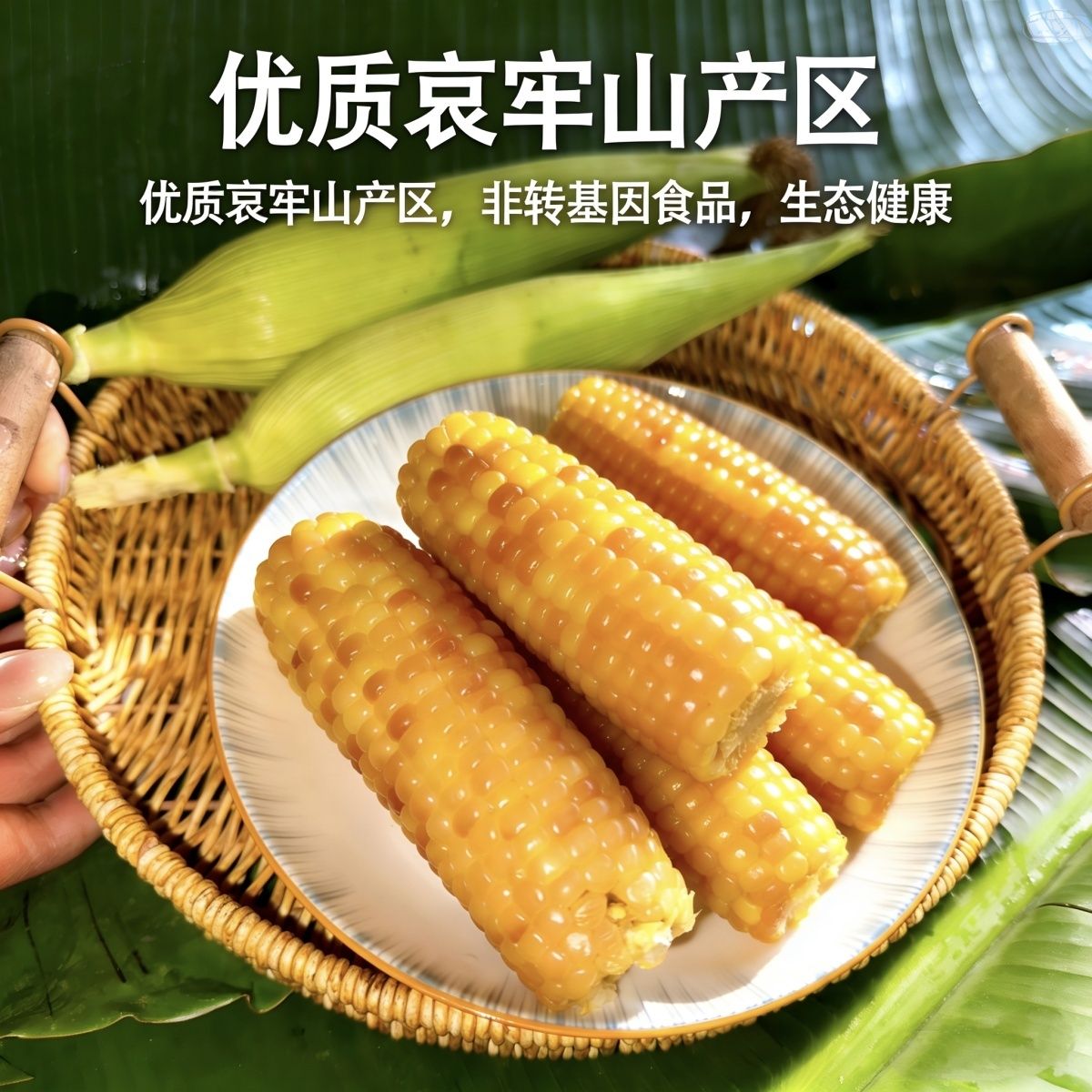 玉米云南3斤西双版纳新鲜糯小甜糯真空小花玉米棒早餐糯玉米香糯