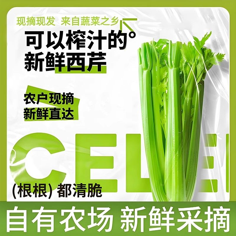 【榨汁专用西芹】水果西芹当季蔬菜生吃即食素食凉拌沙拉当季
