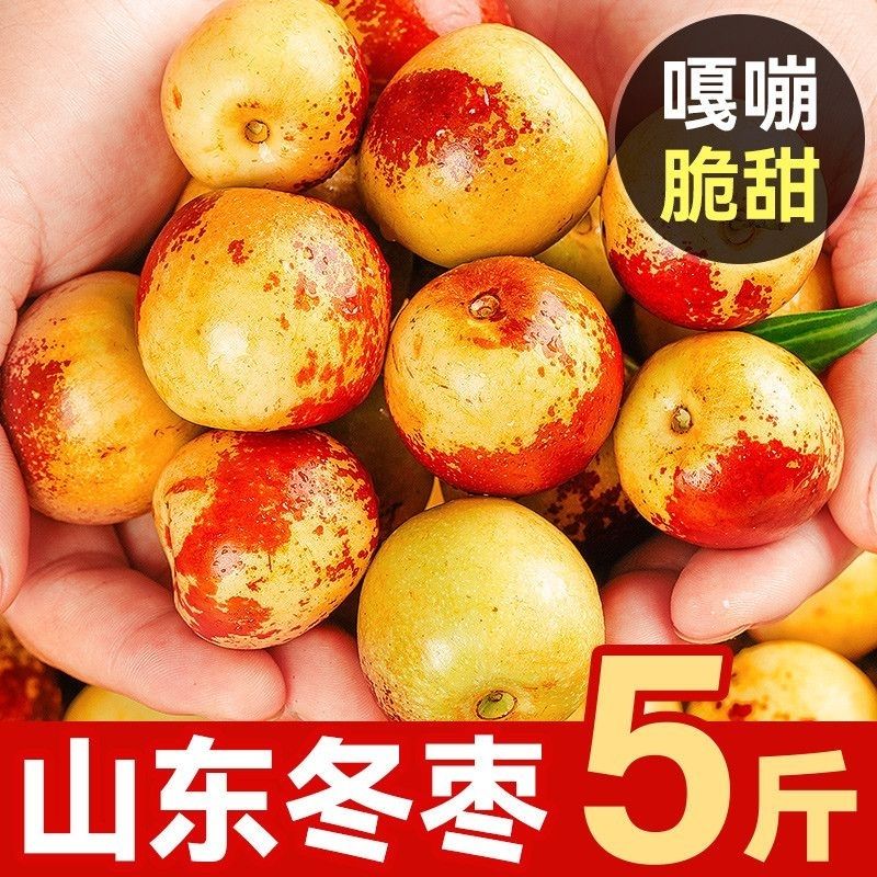 正宗脆甜冬枣冰糖新鲜应季大枣当季脆枣水果整箱批发枣子沾化鲜枣