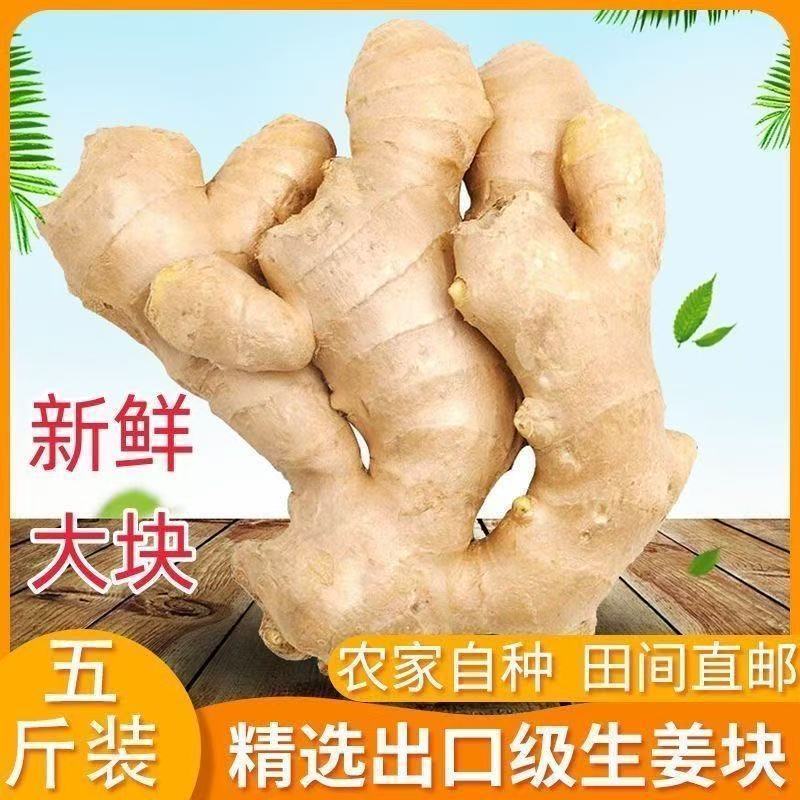山东大姜风新鲜干姜无泥大块生姜老姜月子整箱黄姜特级批发正宗
