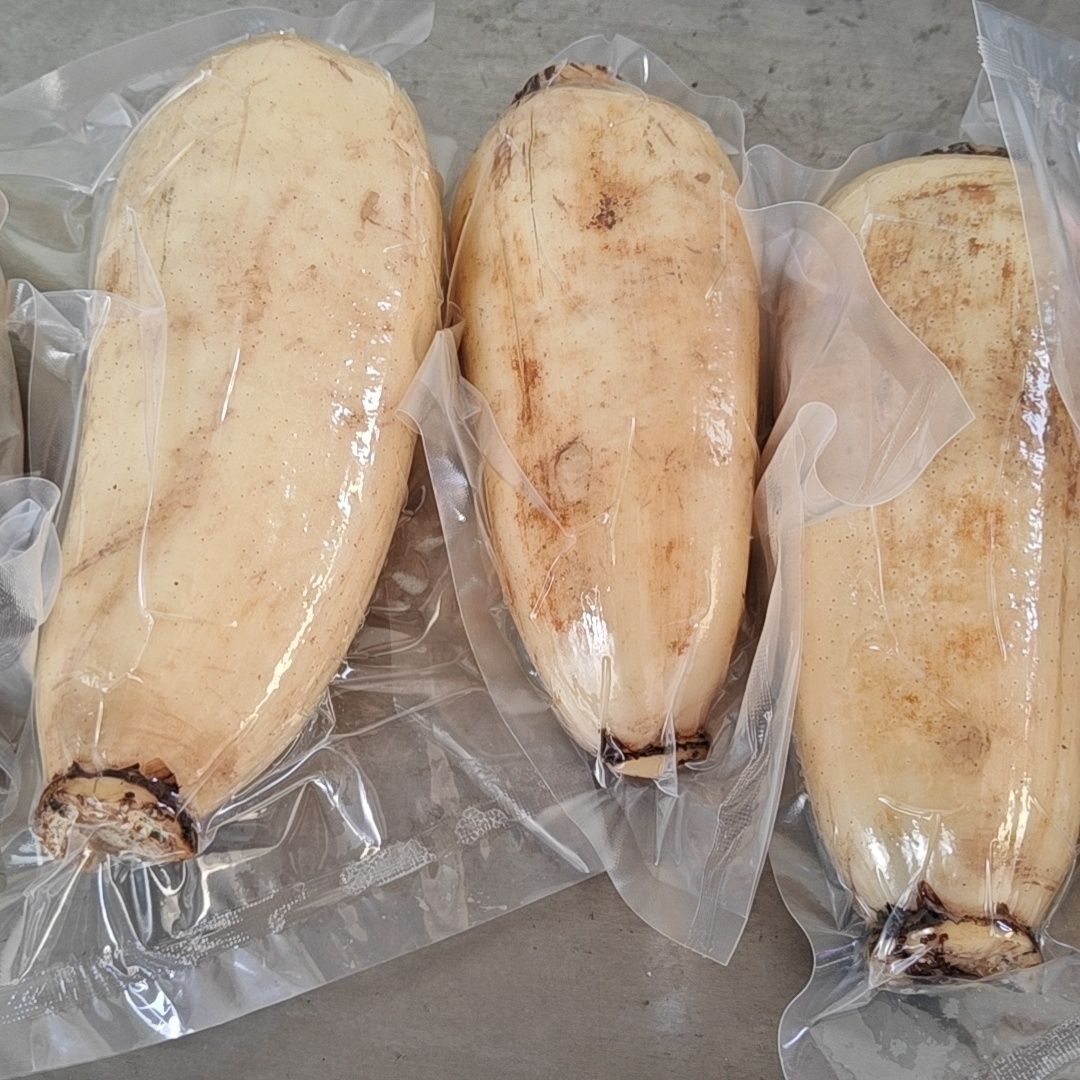 新鲜莲藕正宗微山湖真空包装九孔脆嫩现挖煲汤农家深水活水莲藕