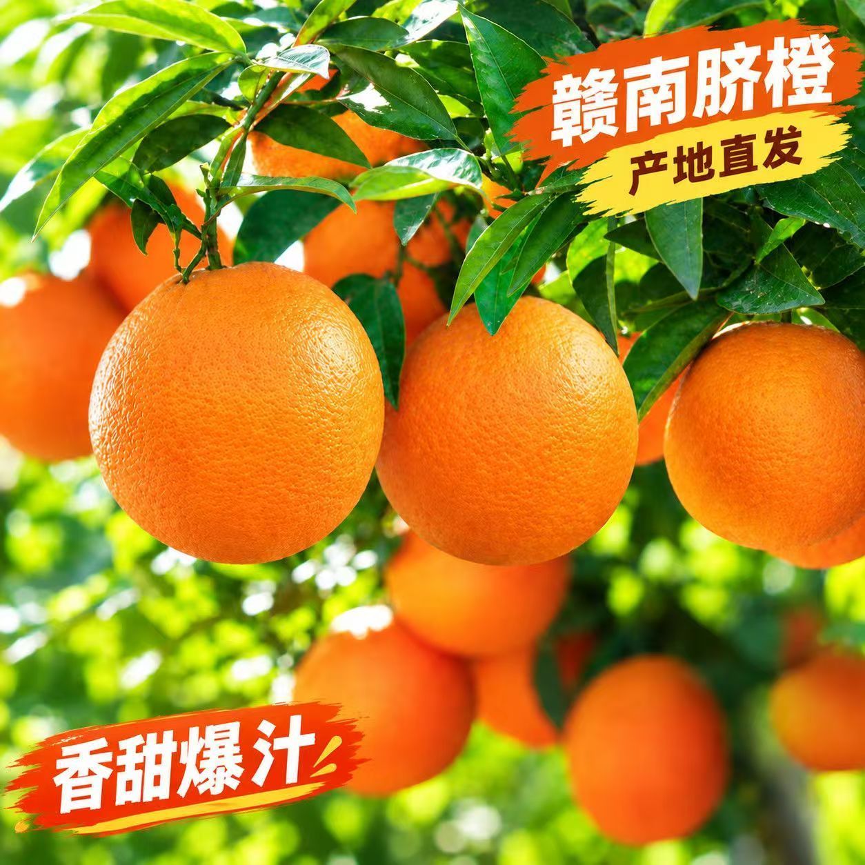 现摘橙子赣南正宗新鲜江西脐橙应季榨汁薄皮甜橙当季水果整箱批发