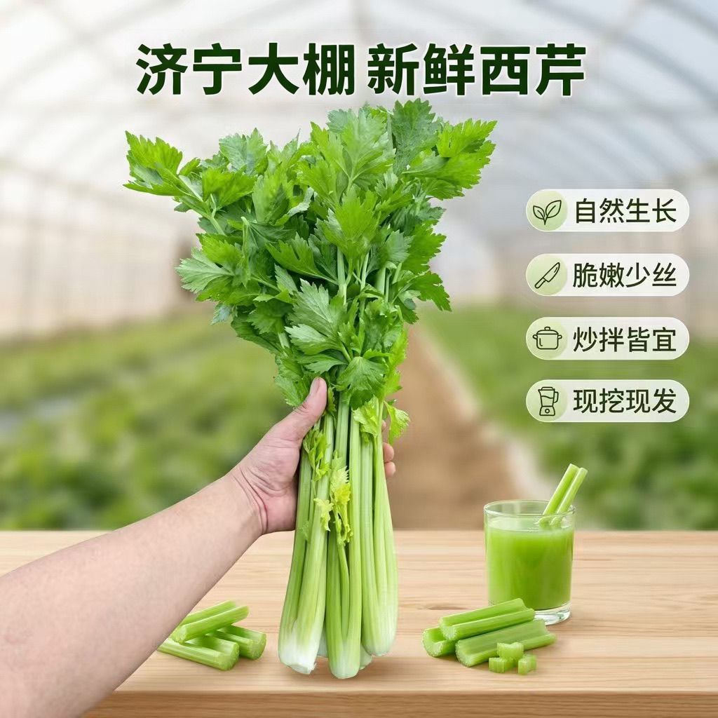 山东济宁王丕西芹新鲜现割脆嫩少筋农家自种带叶西芹当季蔬菜整箱
