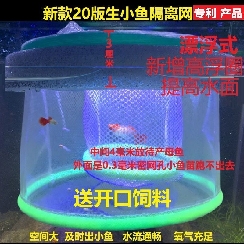 高清新款鱼苗网漂浮隔离网孔雀鱼斑马鱼产鱼孵化盒鱼缸繁殖隔离盒