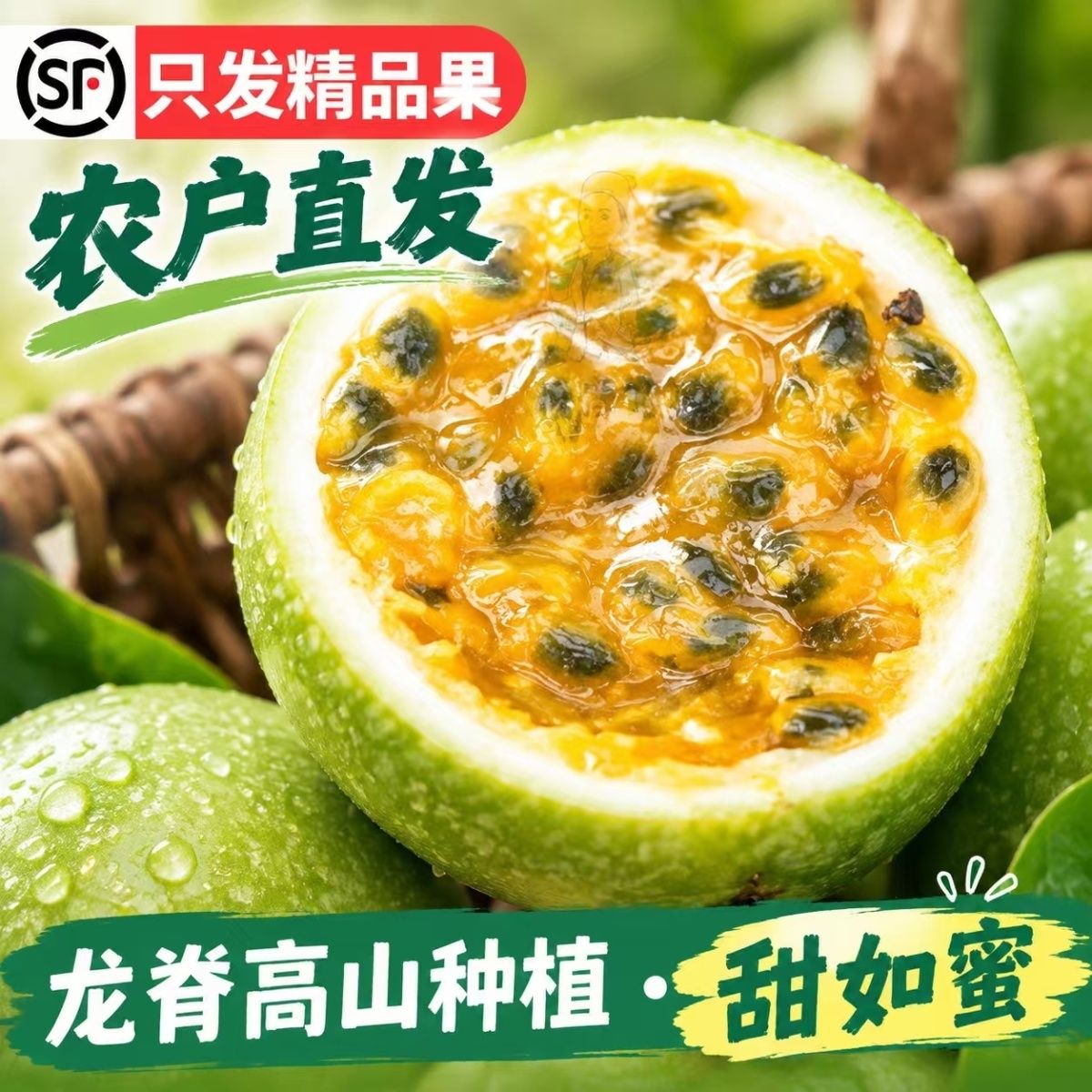 广西龙脊梯田长发村钦蜜9号高山黄金百香果新鲜水果 龙脊高山大果