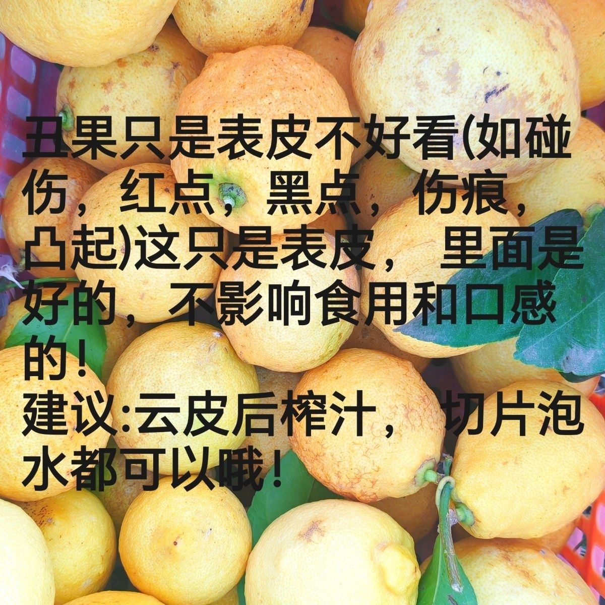 【丑果榨汁果】四川黄柠檬多汁奶茶店商用便宜新鲜柠檬现摘榨汁果