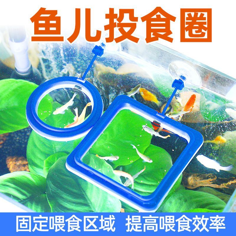 喂鱼器鱼缸投食喂食鱼食喂器小型丰年亚克力漂浮小鱼孔雀鱼飘散