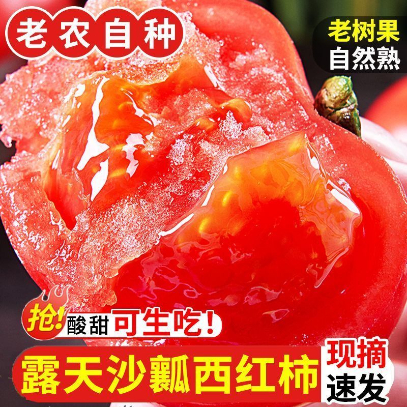 【彩箱】西红柿沙瓤新鲜番茄露天自然柿子水果酸甜蔬菜可生吃整箱