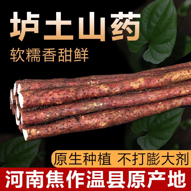 粉糯香甜 河南温县铁棍山药正宗焦作怀山药垆土红斑淮山河南特产