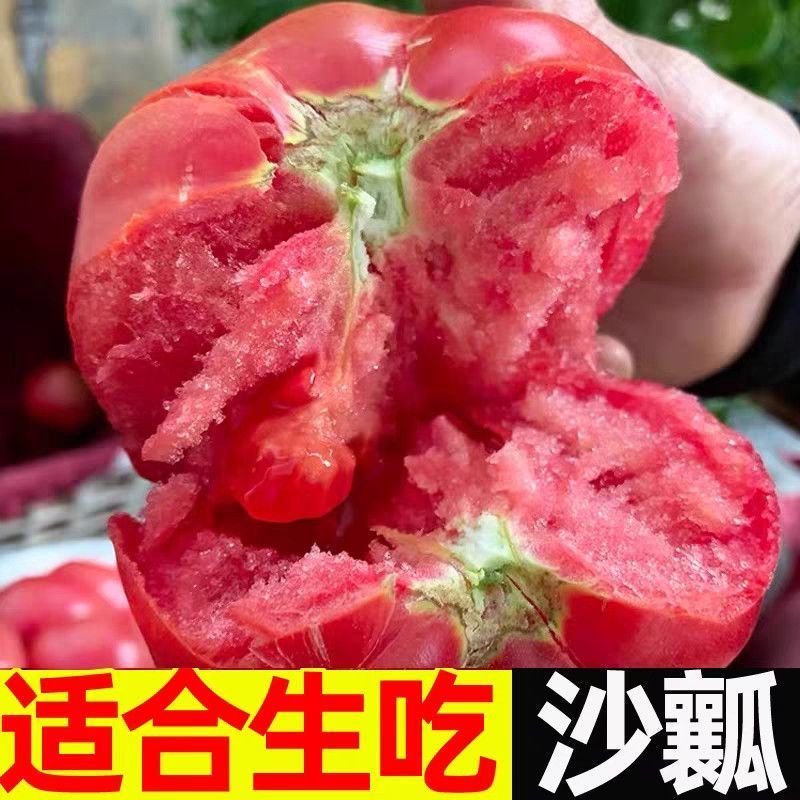 【批发】正宗高山沙瓤西红柿新鲜自然成熟番茄生吃应季水果蔬菜