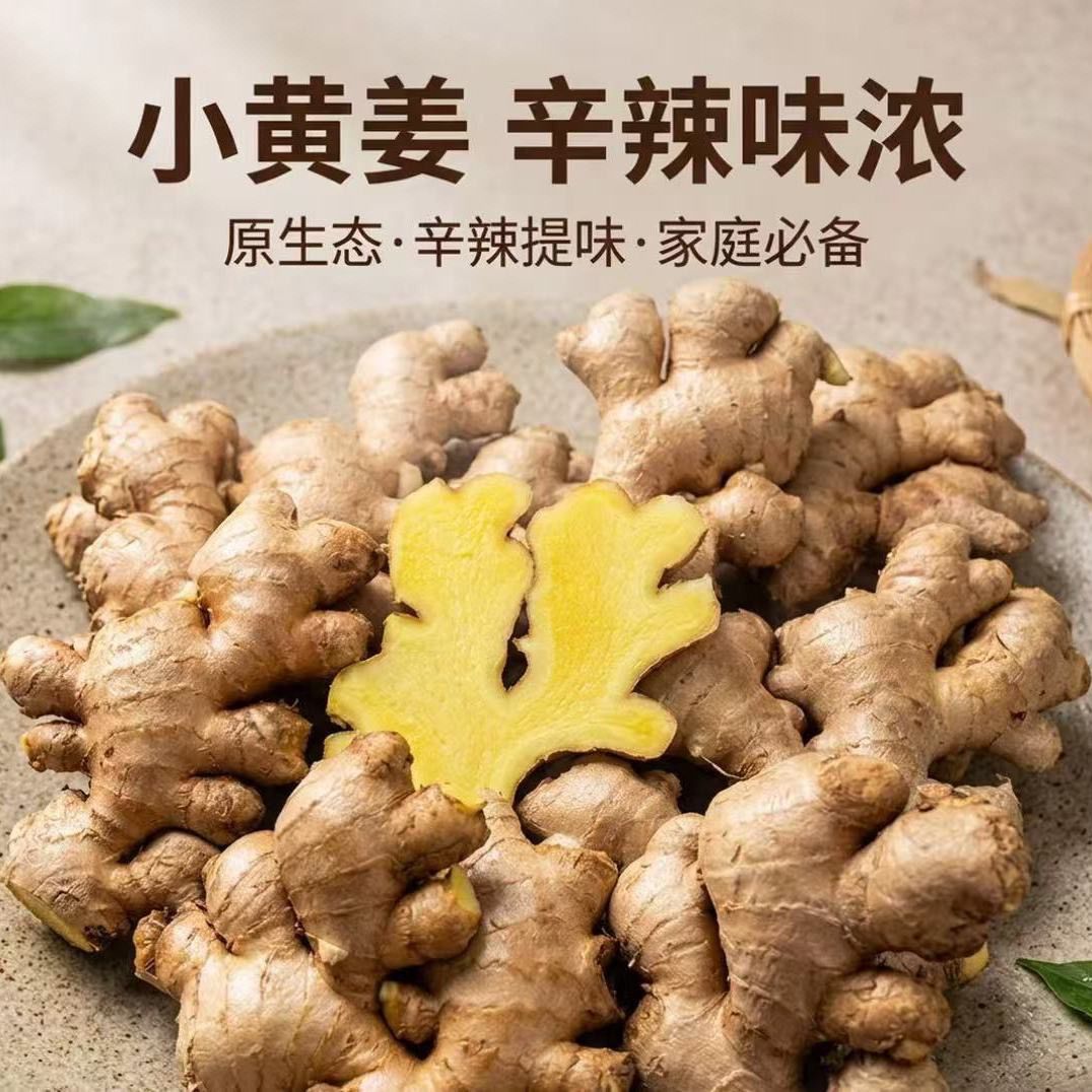 正宗云南小黄姜月子姜山地老姜生姜老农家自种