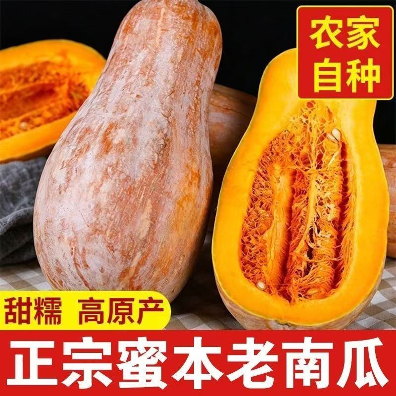 【9-10斤】蜜本老南瓜正宗河南老南瓜现摘农家新鲜蔬菜宝宝辅食
