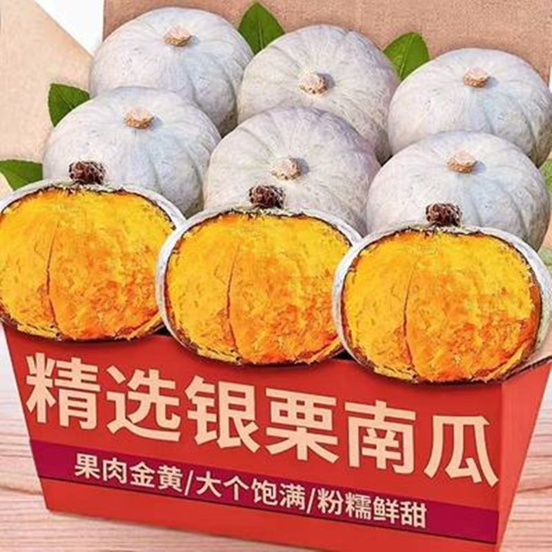 正宗银栗南瓜软糯香板栗味老南瓜老人易消化粉糯面窝瓜新鲜蔬菜