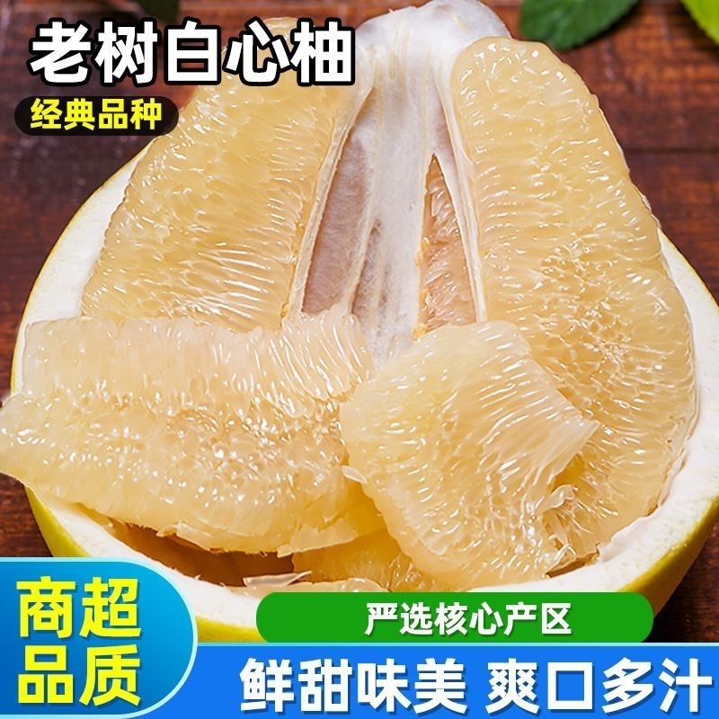 平和福建正宗白心蜜柚白肉新鲜现摘孕妇白柚应季水果冰糖柚个大