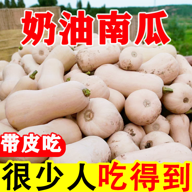 【爆甜】现摘正宗奶油南瓜小南瓜老南瓜批发粉糯香甜孕妇宝宝辅食