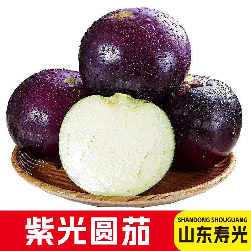 山东寿光圆茄子新鲜蔬菜紫光圆茄鲜嫩紫皮时令蔬菜现摘整箱批发