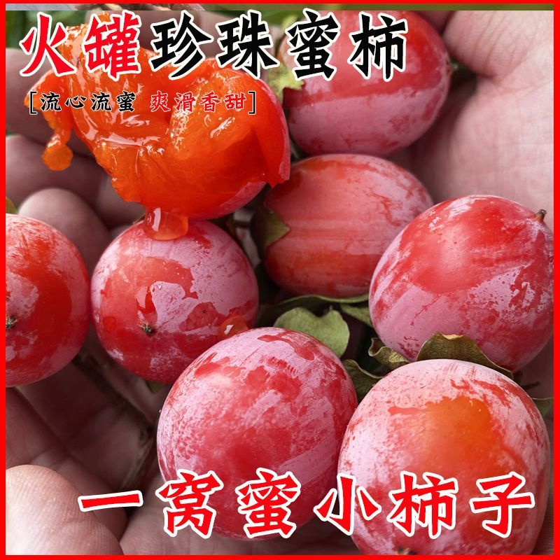 正宗新鲜火罐蜜柿爆甜珍珠当季无核一口应季水果软柿子迷你彩箱