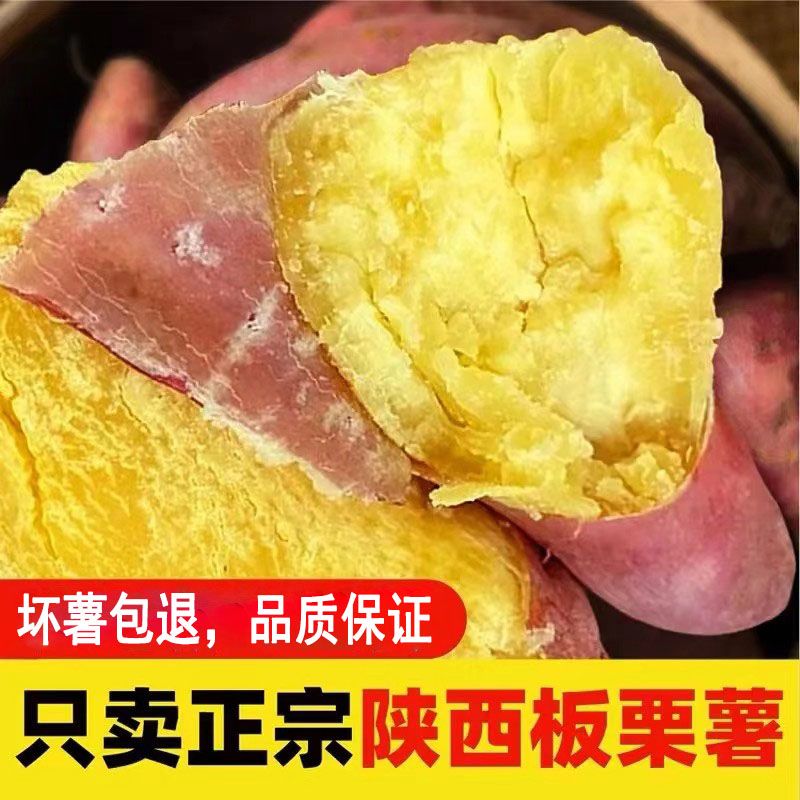 如叶陕西黄心板栗薯现挖正宗板栗红薯蜜薯沙地番薯甜糯黄心地瓜