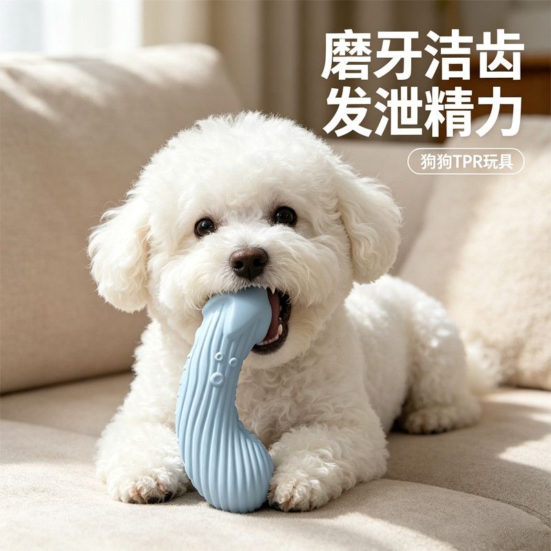 狗狗玩具磨牙洁齿耐啃咬不伤牙安全材质 TPR茄子玩具狗狗洁齿神器