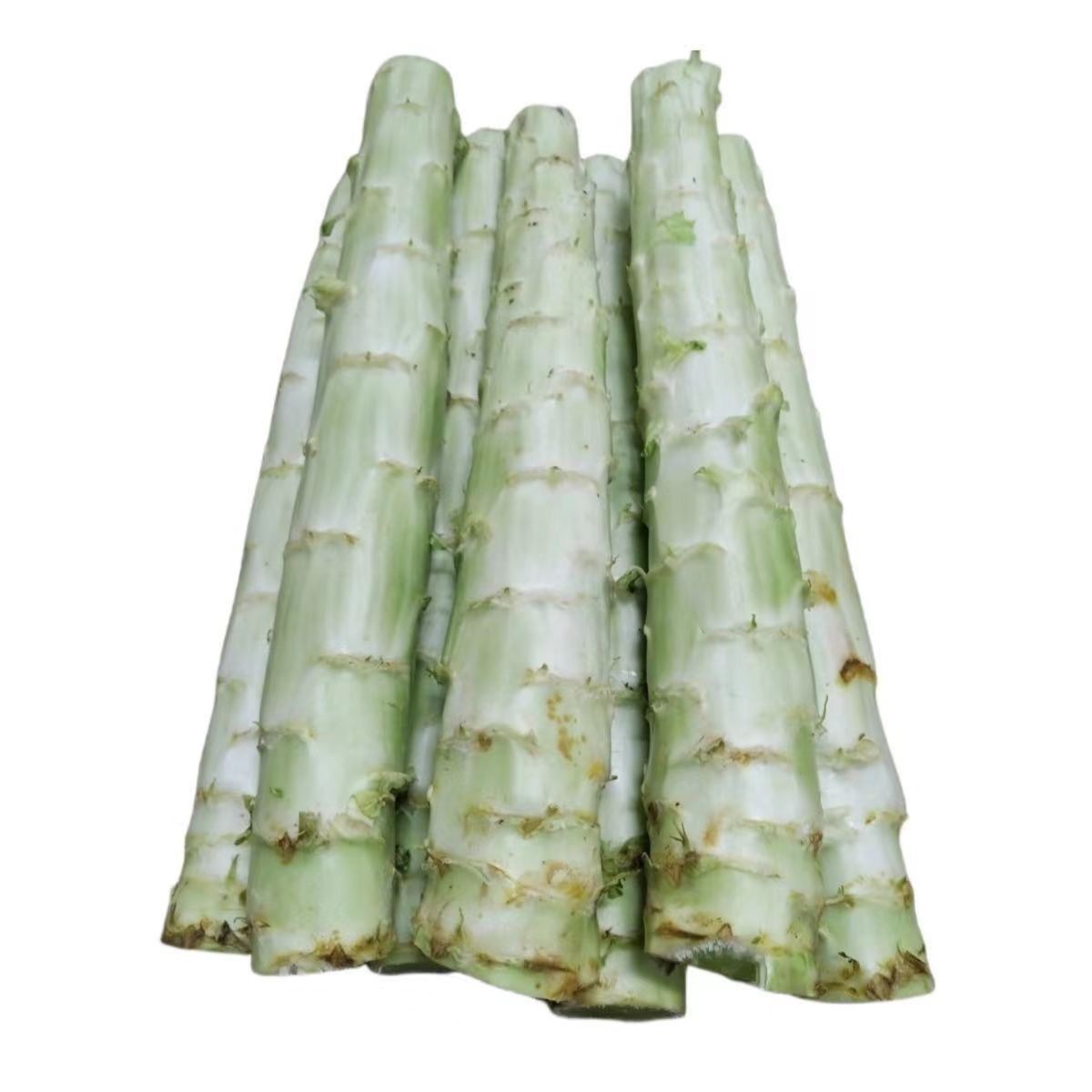 山东当季农家自种蔬菜红叶露天紫叶莴苣青笋绿心河南现摘莴笋新鲜