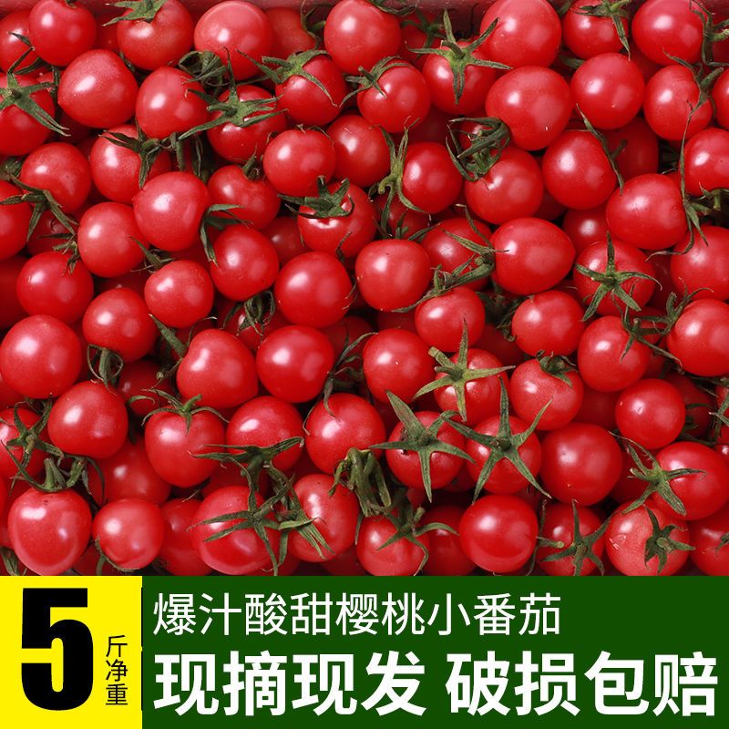 【澳农卡】3/5斤圣女果樱桃小番茄西红柿新鲜水果柿子靓贝单果10g起