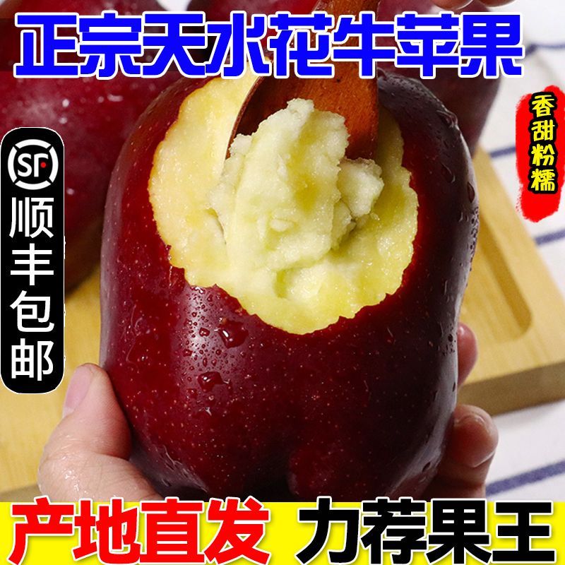 【顺丰包邮】正宗天水花牛苹果粉糯刮泥孕妇新鲜水果整箱蛇果礼盒
