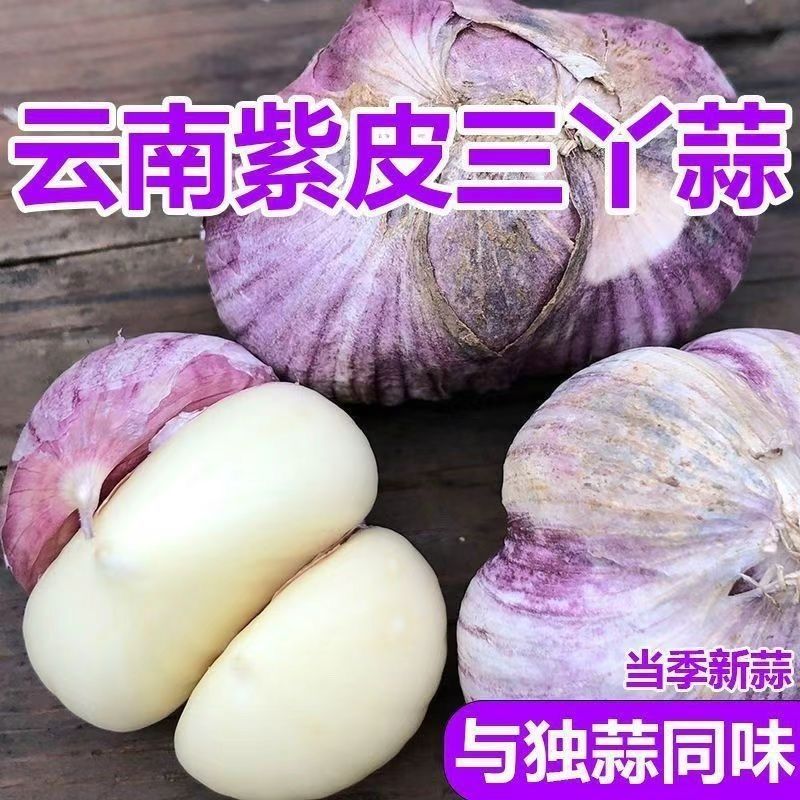 十成干蒜】2026两丫三丫蒜瓣蒜干蒜蔬菜云南紫白皮独头蒜同味调味