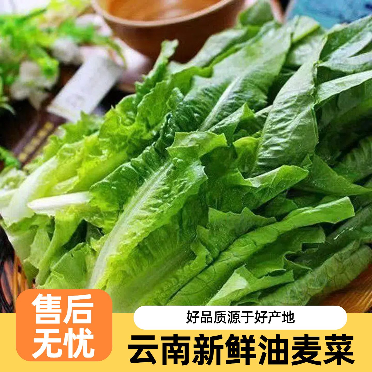 【5斤装】云南油麦菜新鲜采摘青笋尖农家凤尾油麦菜当季高山蔬菜