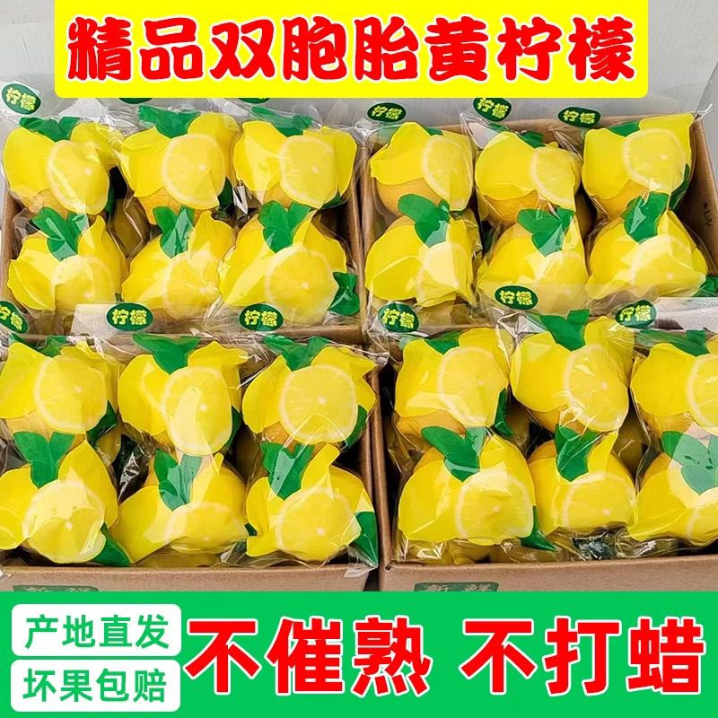 安岳黄柠檬商用(双胞胎)整箱批发商超品质产地直发多汁有籽奶茶店