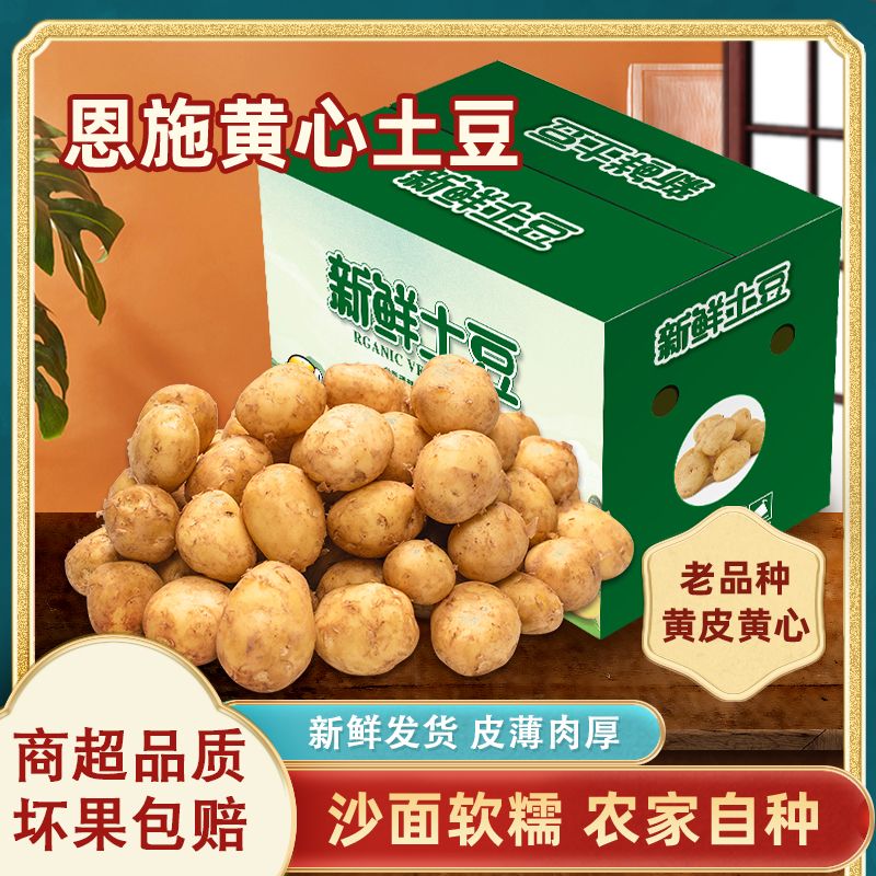 【彩箱精品】正宗恩施黄心小土豆新鲜5斤黄皮小土豆新鲜迷你洋芋