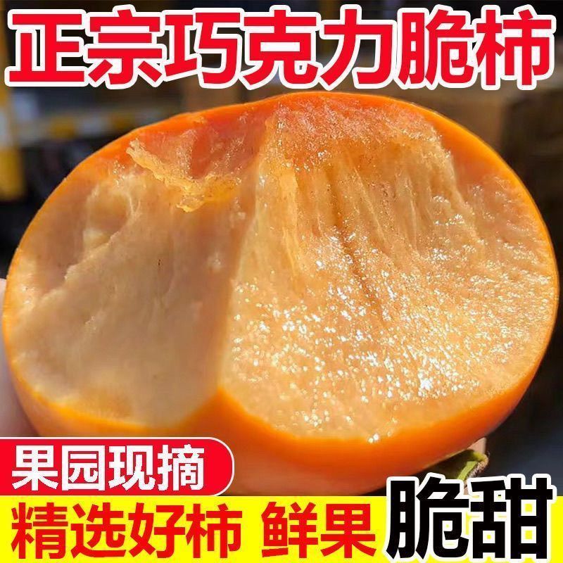 【彩箱】正宗阳丰脆柿新鲜应季脆柿子巧克力柿子冰糖无核脆甜当季