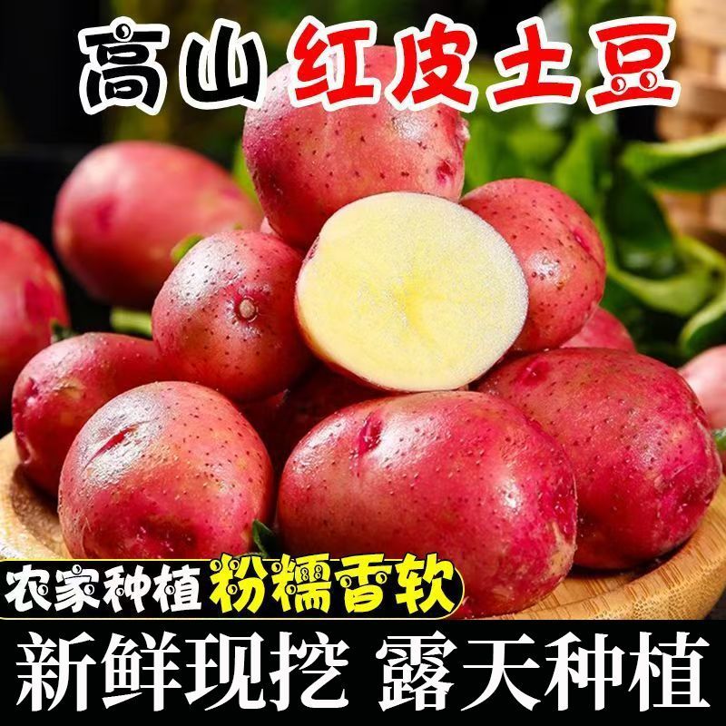 2026正宗云南红皮土豆小个黄心洋芋批发新鲜蔬菜现挖马铃薯5/9斤
