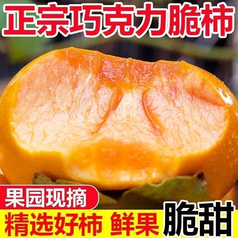 【彩箱】正宗阳丰脆柿应季新鲜水果脆甜大果巧克力硬柿冰糖柿子