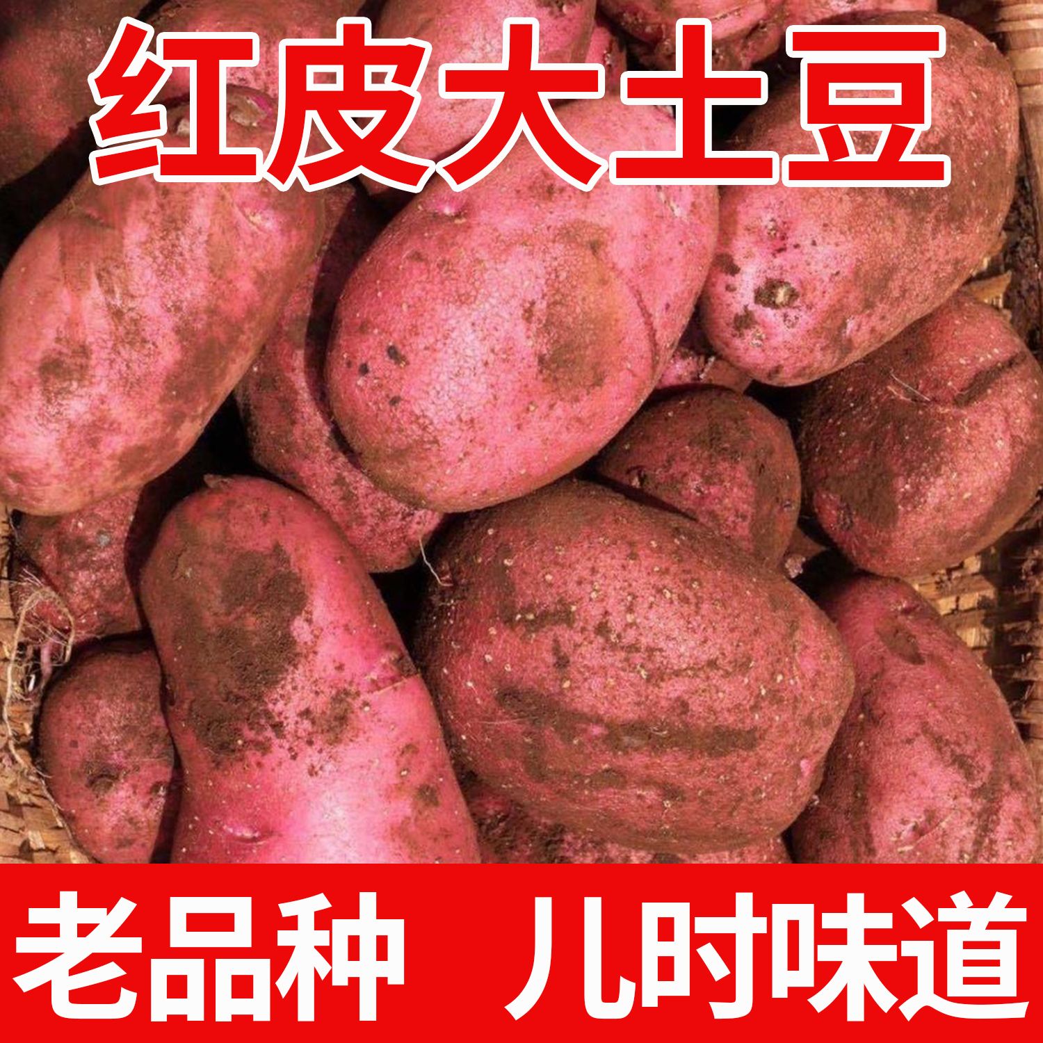 【粉糯】正宗云南红皮土豆2026现挖马铃薯老品种黄心洋芋新鲜蔬菜