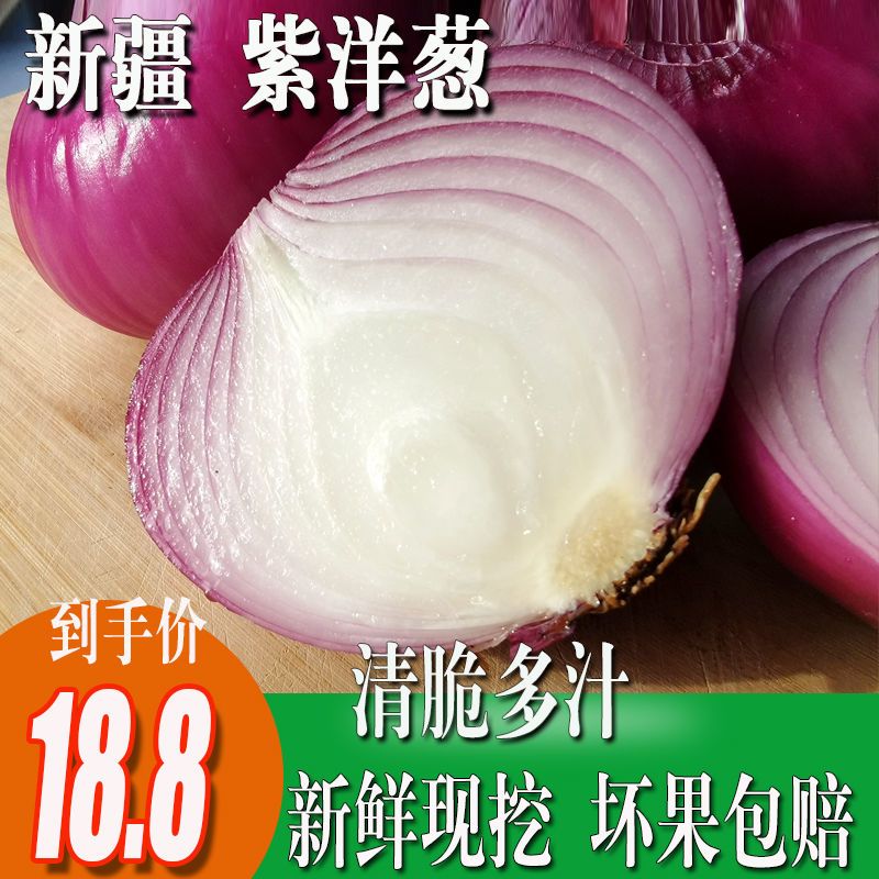 新疆特产洋葱新鲜紫色白洋葱紫皮圆葱紫皮牙子洋葱2/3斤紫皮包邮