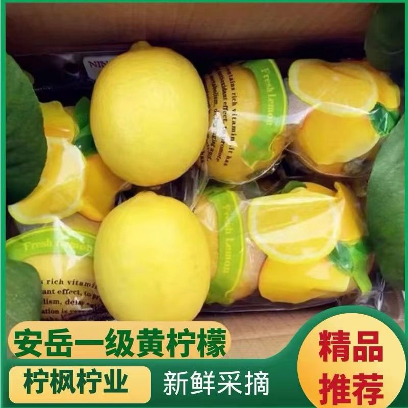 双胞胎一级果四川安岳新鲜黄柠檬新鲜柠檬皮薄多汁奶茶店必备鲜果