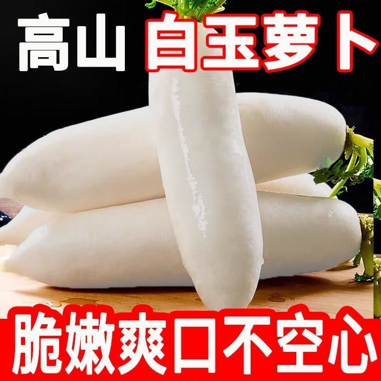 白萝卜新鲜当季蔬菜萝卜水果萝卜生吃水分足甜脆火锅泡菜食材萝卜